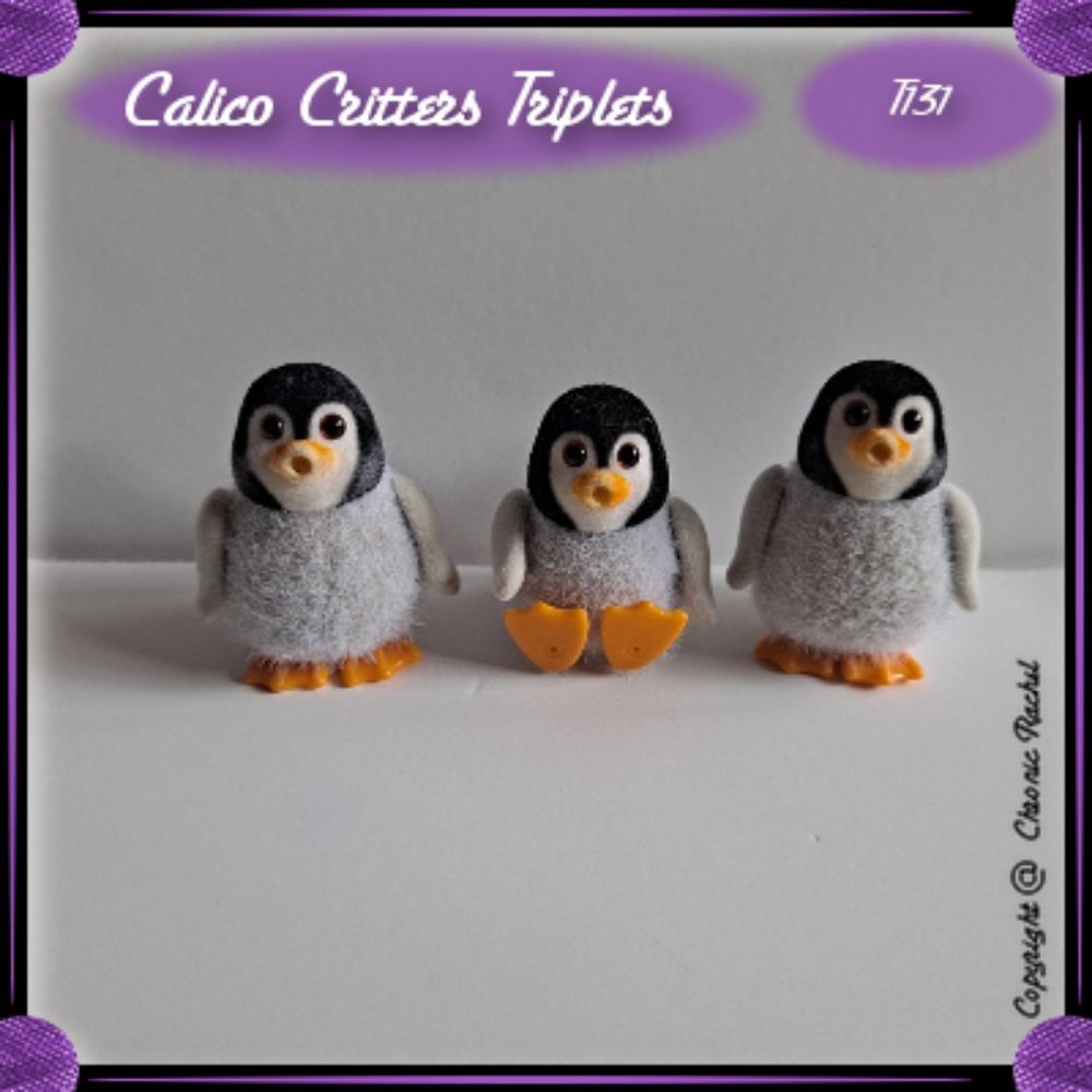 Baby Penguin Triplets